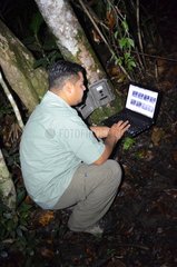 Jaguar or Puma Camera trap survey in Belize