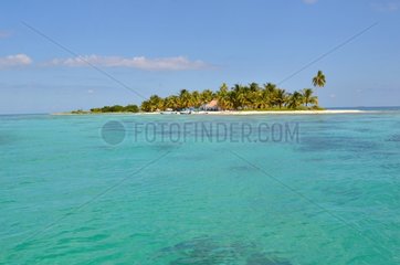 Marine reserve of Laughing bird caye NP Belize Barrier Reef