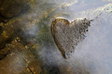 Heart formed by the water level of a river stone France