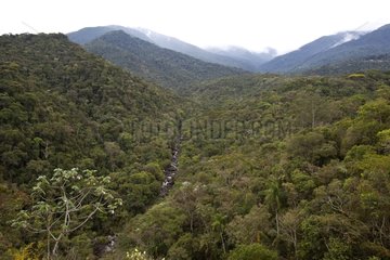 Forest landscape of the National Park Itatiaia Brazil