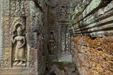 Devata Preah Khan Temple Angkor Siem Reap Cambodia
