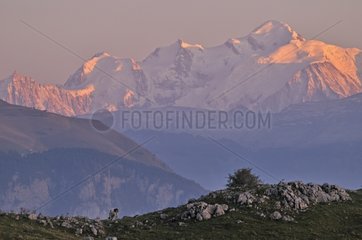 Sunset on the Mont-Blanc France
