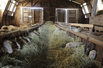 Sheepfold in Aveyron France