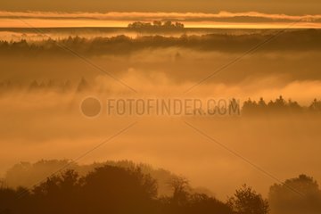 Mists of the Vosges forest at dawn France