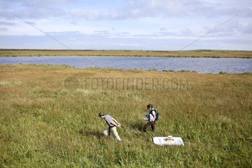 Geophysical surveys on the isthmus Miquelon-Langlade