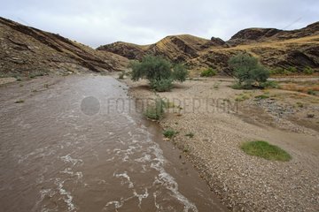Kuiseb River flood after a storm Namib Namibia