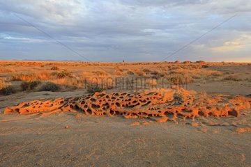 Rock eroded by wind Namib Desert Namibia