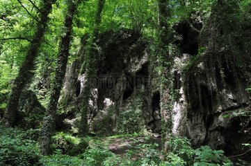 Tuff cave undergrowth France