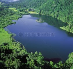 Lake in summer Bonlieu Jura France