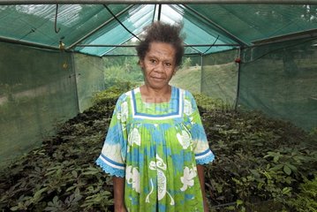 Kanak woman cultivating plants for revegetation