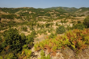 Rhodopes mountains Balkans Bulgaria