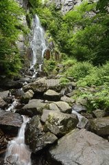 Nideck waterfall in summer Vosges France