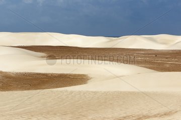 Sand dunes at Stero south of Socotra Yemen