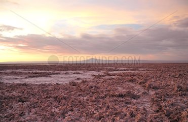 Salar de Atacama Atacama Desert of Chile