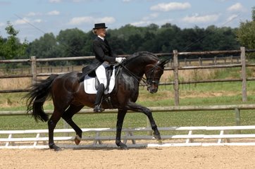 Rider on horse in a dressage competition