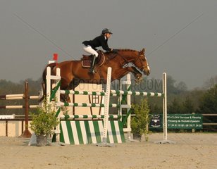 Cavalier horse jumping over an obstacle oxer
