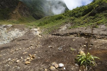 Fumaroles of the Valley of Desolation Island of Dominica