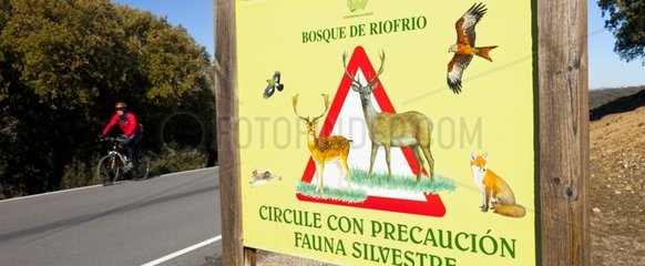 Sign in the forest of Rifrio Spain