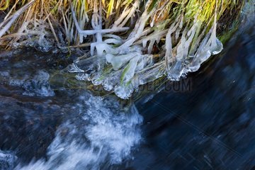 Frozen river in the forest of Rifrio Spain
