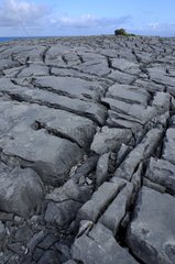 Karst landscape in the Burren in Ireland