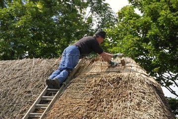 Restoration of a thatched roof