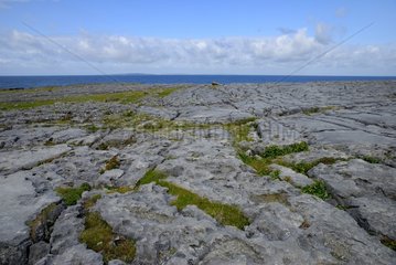 Karst landscape in the Burren in Ireland