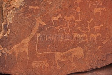 Herbivores and Lion Petroglyph Peet Alberts Namibia