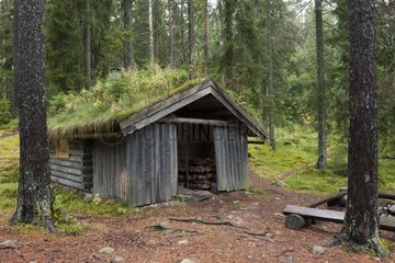Hut with a roof covered with vegetation Kindla Sweden