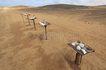 Sale of natural salt on the Atlantic coast in Namibia