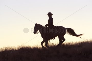 Cowboy at sunset The Hideout Guest Ranch Wyoming USA