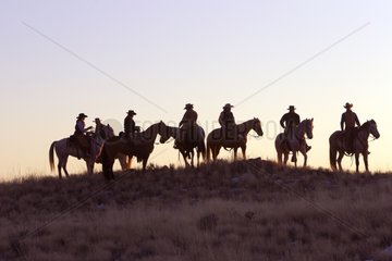 Cowboys at sunset The Hideout Guest Ranch Wyoming USA