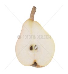 Cut pear 'Beurre Papa Lafosse' in studio