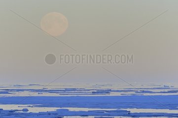Full moon on the ice Greenland
