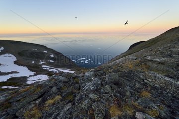 Summit Cap Greg Greenland