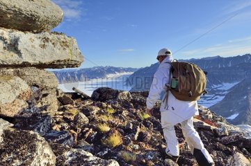 Explorer on top of Cap Greg Greenland