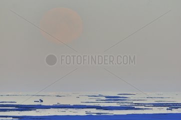 Moonrise over the Greenland ice East Coast
