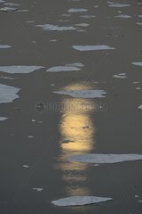 Reflection of the moon on the ice in Greenland was East Coast