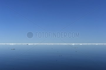 Drifting pack ice off Liverpool Land Greenland