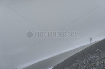 Explorer down Cape Greg in the mist Greenland