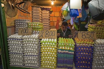 Etal egg market in Manaus - Amazonas Brazil