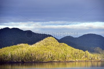 Landscape of the Inside Passage north of Port Hardy Canada