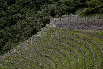 Inca ruins of Huayna Huinay Andes Peru