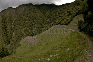 Inca ruins of Huayna Huinay Andes Peru