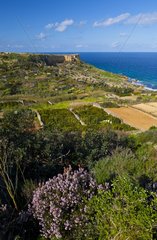 San Blas valley Gozo Malta