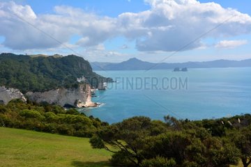 Coastal landscape - Coromandel Peninsula New Zealand