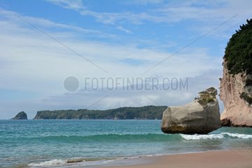 Coastal landscape - Coromandel Peninsula New Zealand