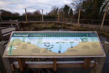 Information panel WWT Slimbridge Reserve UK