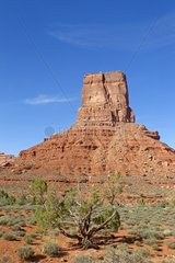 Rock formation Valley of the Gods Utah USA