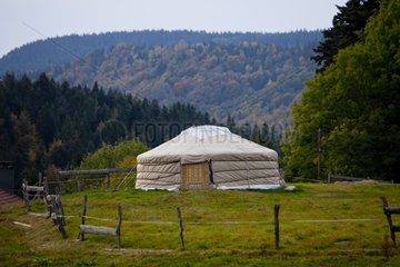Yurt from Mongolia