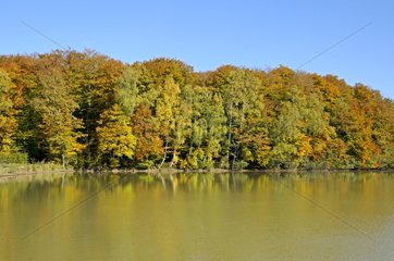 Pond in Autumn Faverois France